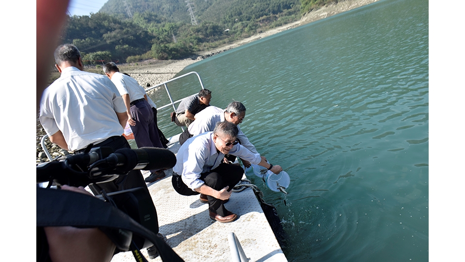 除了增設經營生態池，豐富生物多樣性以外， 明潭發電廠亦辦理了魚苗放流活動。